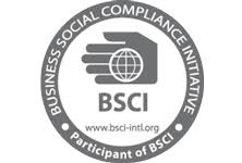 Business social compliance initiative