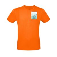 KIT CARBON - KIT 8 Articoli Divisa Lavoro : 2xBermuda - 4xMaglietta T-shirt - 1xFelpa Leggera Zip Lunga - 1xGilet multitasche Leggero Thumbnail
